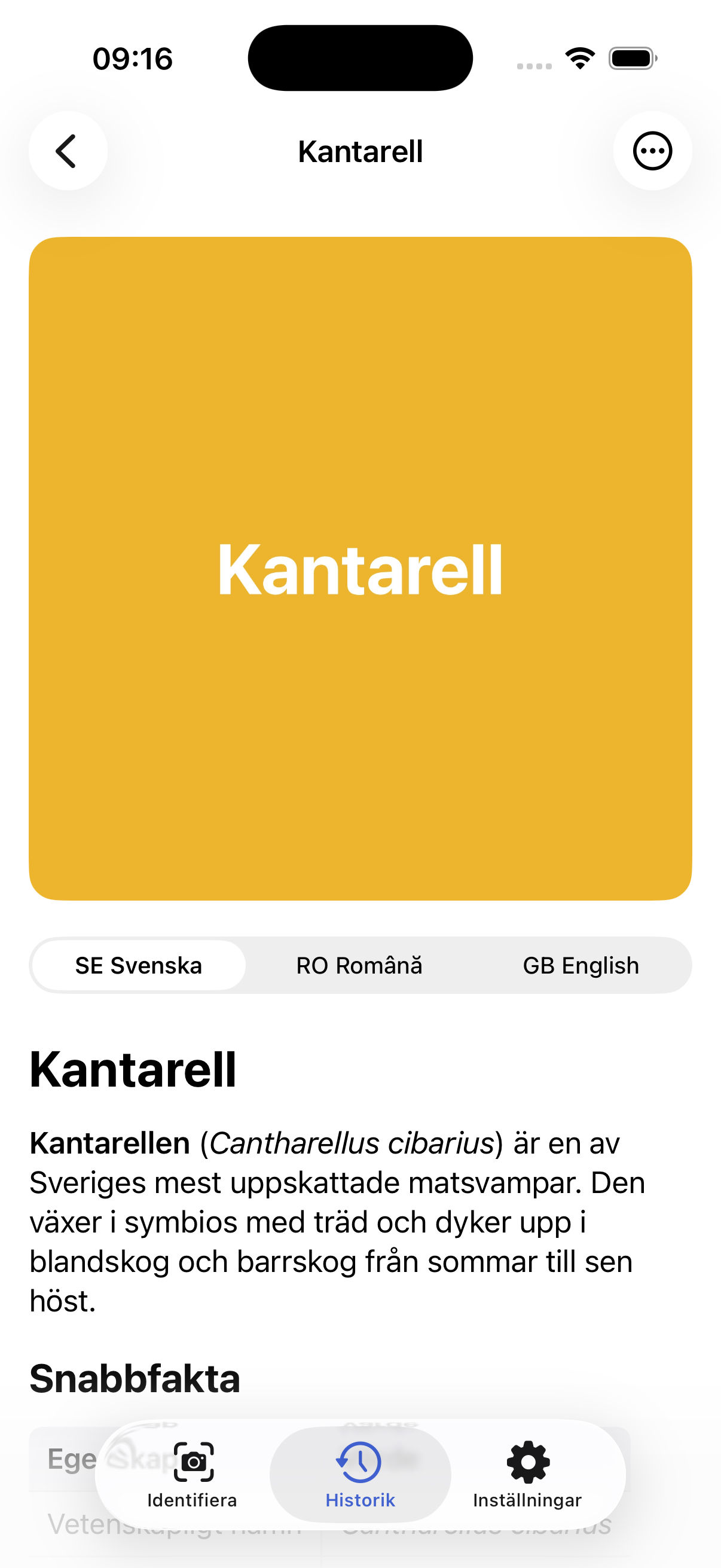 Vad är det? encyclopedia entry